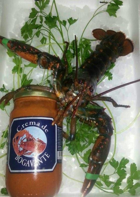 Imagen 23 Artística Cocinas foto