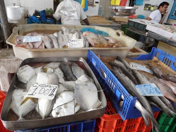 Imagen 8 Gabinete Psicológico Practis Orotava foto