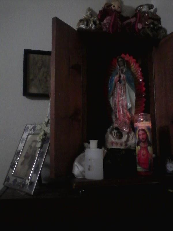 Imagen 1 Animal Home foto