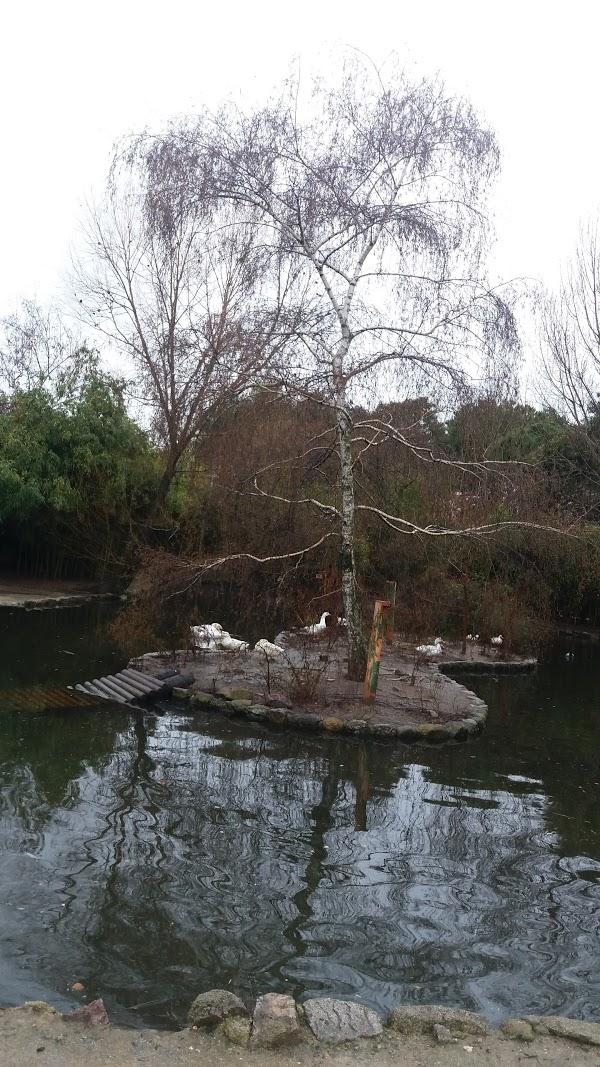 Imagen 37 Animal Home foto