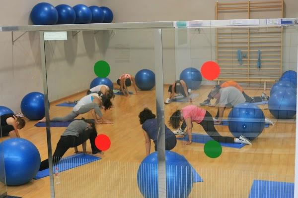 Imagen 40 Animal Home foto