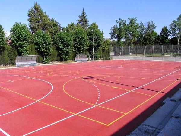 Imagen 42 Animal Home foto