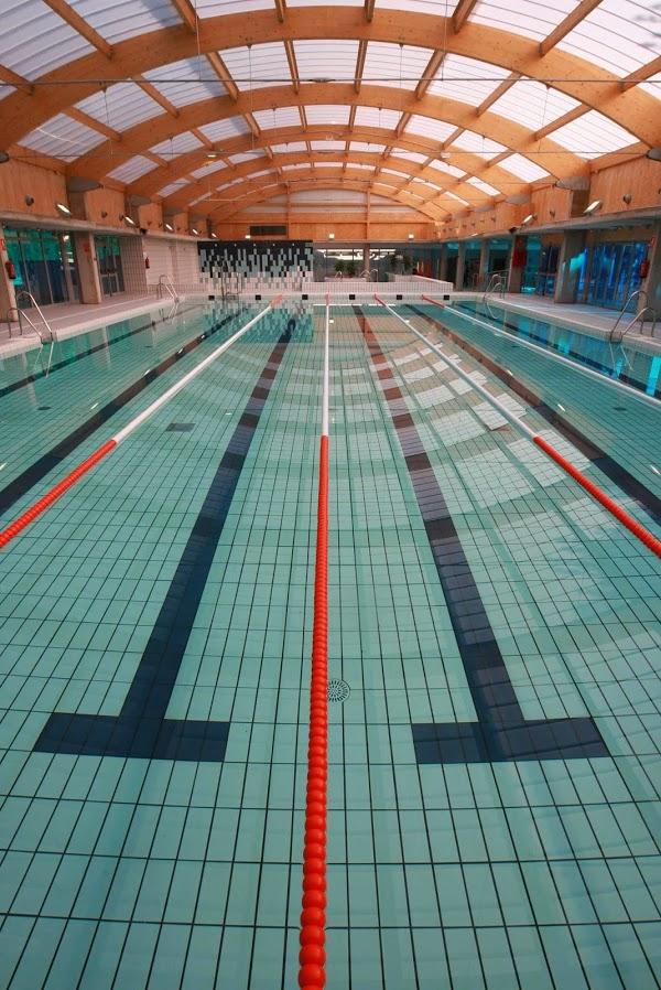 Imagen 43 Animal Home foto