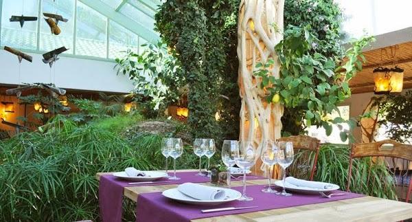 Imagen 7 La Casa Verde foto