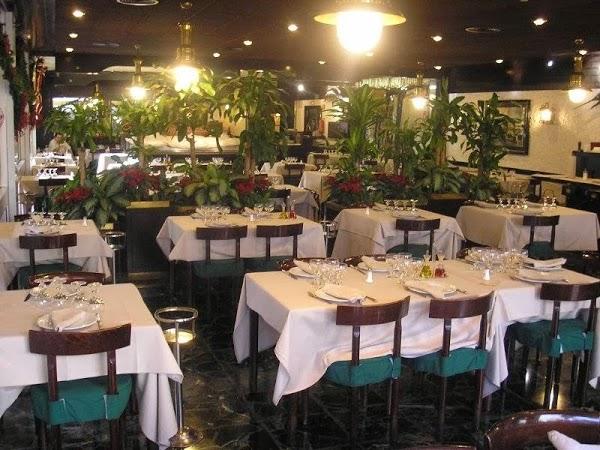 Imagen 21 VETERINARÍA Y ESTETICA CANINA PROFESIONAL SOLER foto