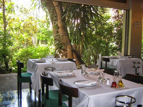 Imagen 24 VETERINARÍA Y ESTETICA CANINA PROFESIONAL SOLER foto