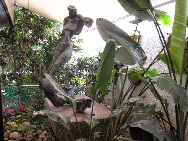 Imagen 29 VETERINARÍA Y ESTETICA CANINA PROFESIONAL SOLER foto