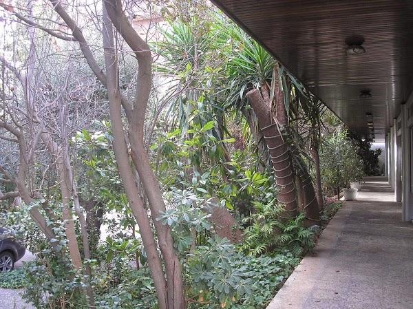 Imagen 30 VETERINARÍA Y ESTETICA CANINA PROFESIONAL SOLER foto