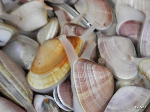 Imagen 13 SALÓN LAS VENTANAS foto