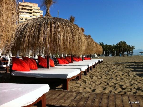 Imagen 17 SALÓN LAS VENTANAS foto