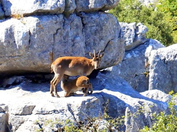 Imagen 18 Facultad de Teología SEUT foto