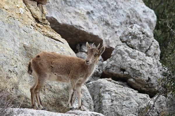 Imagen 26 Facultad de Teología SEUT foto