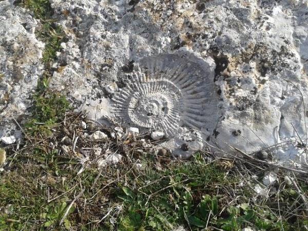Imagen 27 Facultad de Teología SEUT foto