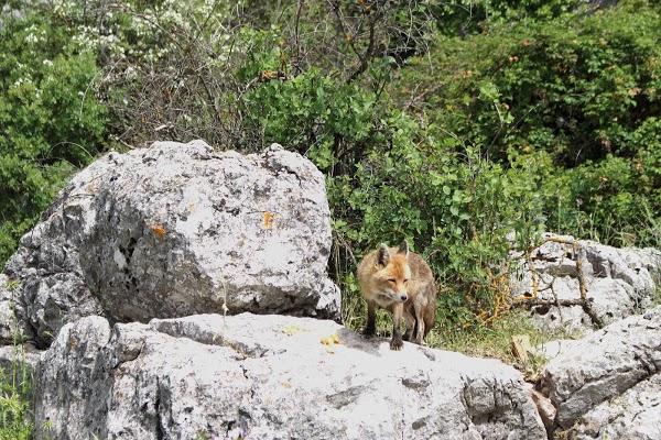 Imagen 30 Facultad de Teología SEUT foto
