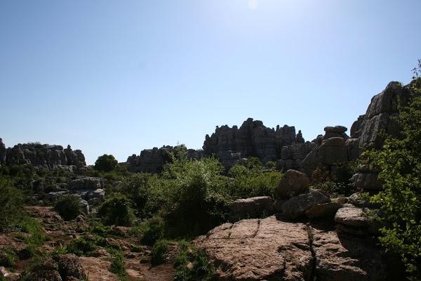 Imagen 35 Facultad de Teología SEUT foto