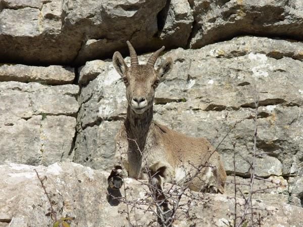 Imagen 36 Facultad de Teología SEUT foto