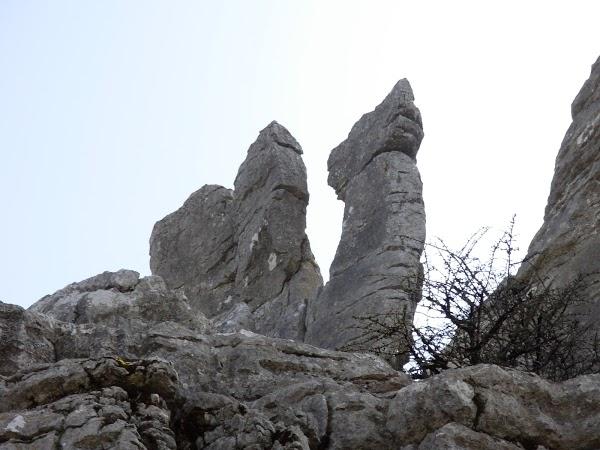 Imagen 37 Facultad de Teología SEUT foto