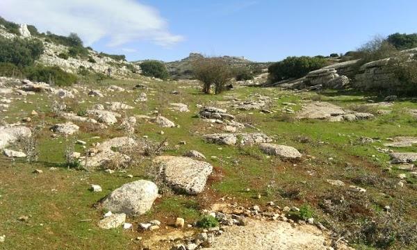 Imagen 39 Facultad de Teología SEUT foto