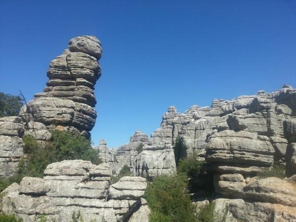 Imagen 41 Facultad de Teología SEUT foto
