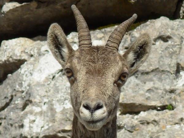 Imagen 44 Facultad de Teología SEUT foto