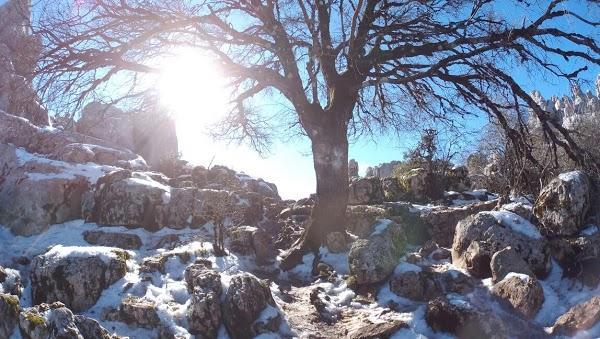 Imagen 9 Facultad de Teología SEUT foto