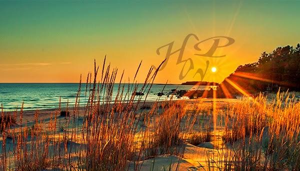 Imagen 1 Comunidad Edificio Vicente Valdes 89 las Azaleas foto