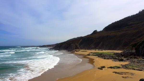 Imagen 5 Walmart Dominguez foto