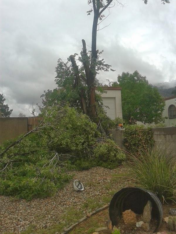 Imagen 3 Préstamo Express, Suc. Sendero Lincoln foto