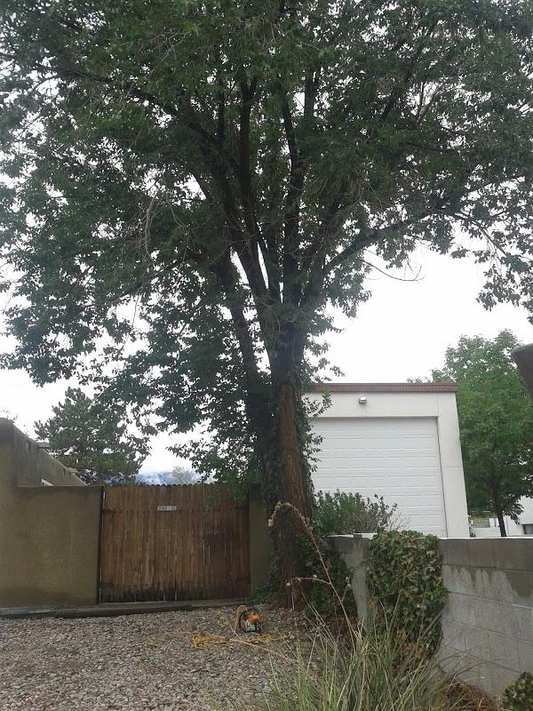 Imagen 9 Préstamo Express, Suc. Sendero Lincoln foto