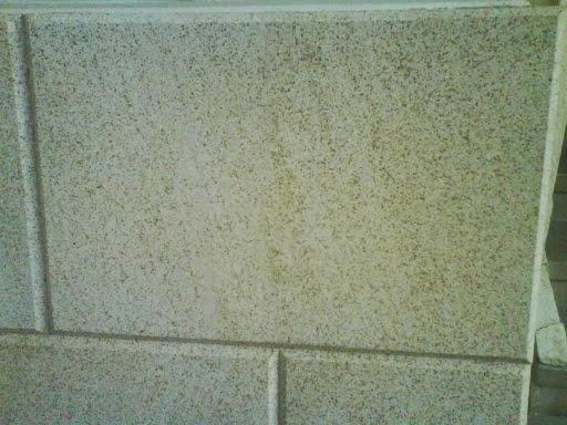 Imagen 2 Grupo Casa Fiesta foto