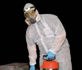 Imagen 12 Grupo Casa Fiesta foto