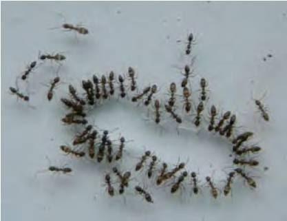 Imagen 18 Grupo Casa Fiesta foto