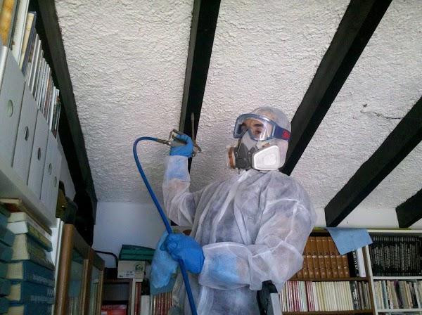 Imagen 21 Grupo Casa Fiesta foto