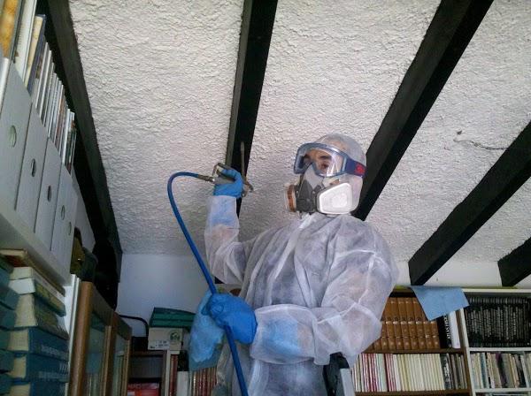 Imagen 10 Grupo Casa Fiesta foto