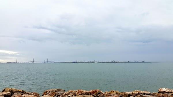 Imagen 78 Instituto Nacional de Cardiología Ignacio Chávez foto