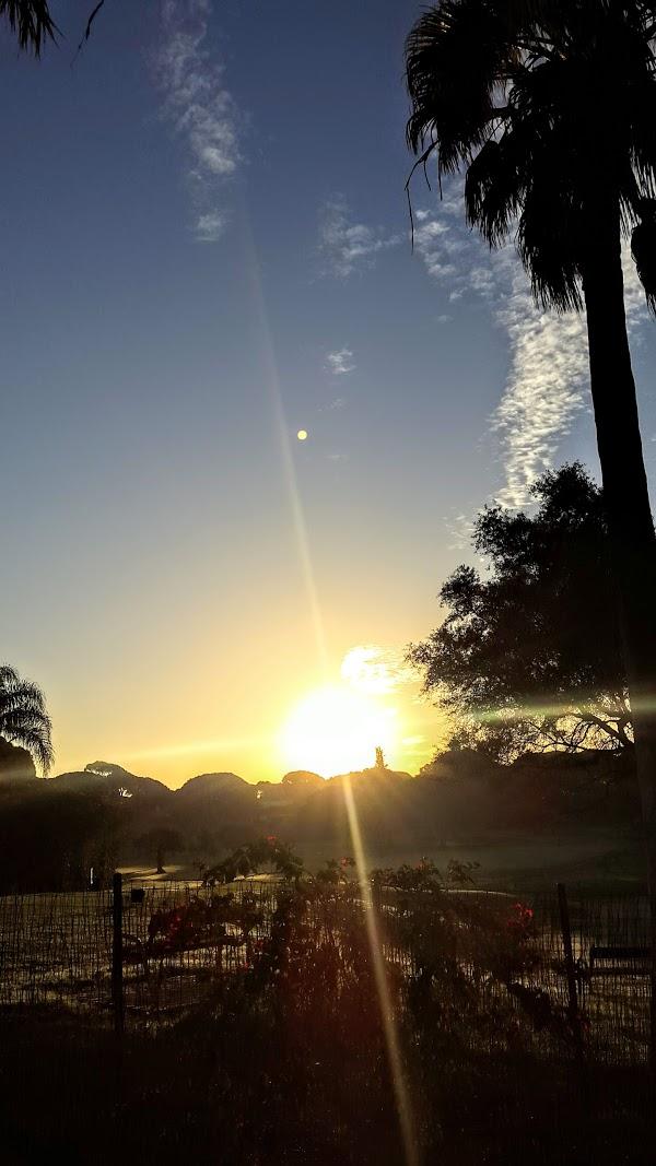 Imagen 79 Instituto Nacional de Cardiología Ignacio Chávez foto