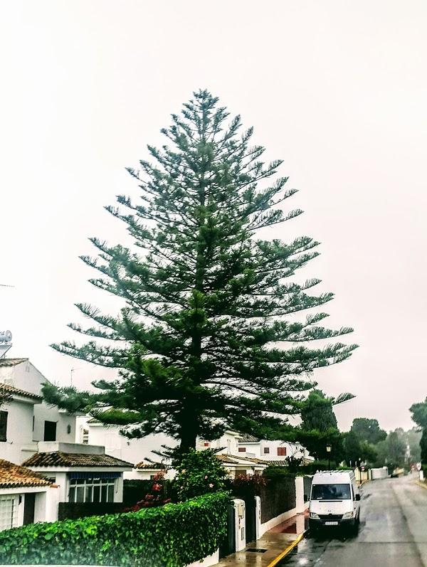 Imagen 80 Instituto Nacional de Cardiología Ignacio Chávez foto