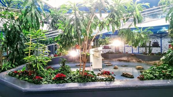 Imagen 85 Instituto Nacional de Cardiología Ignacio Chávez foto