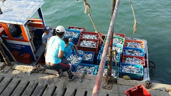 Imagen 11 Alkimia foto