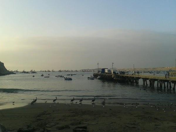 Imagen 4 Alkimia foto