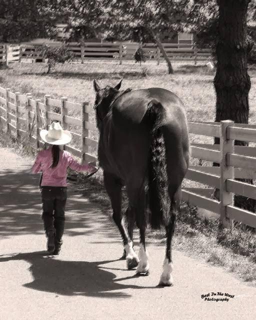 Imagen 2 GPS & TIENDA LIBERCAX foto