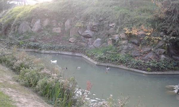 Imagen 13 Gerencia Territorial del Catastro de Guadalajara foto