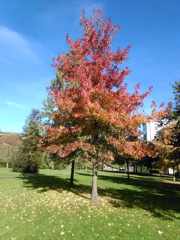Imagen 19 Gerencia Territorial del Catastro de Guadalajara foto