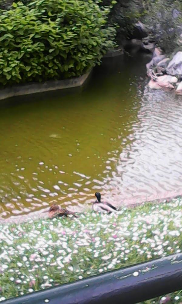 Imagen 4 Gerencia Territorial del Catastro de Guadalajara foto