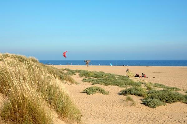 Imagen 15 Estanco Virtual foto