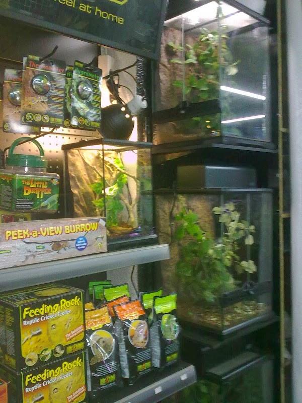 Imagen 11 Campus Inglés foto