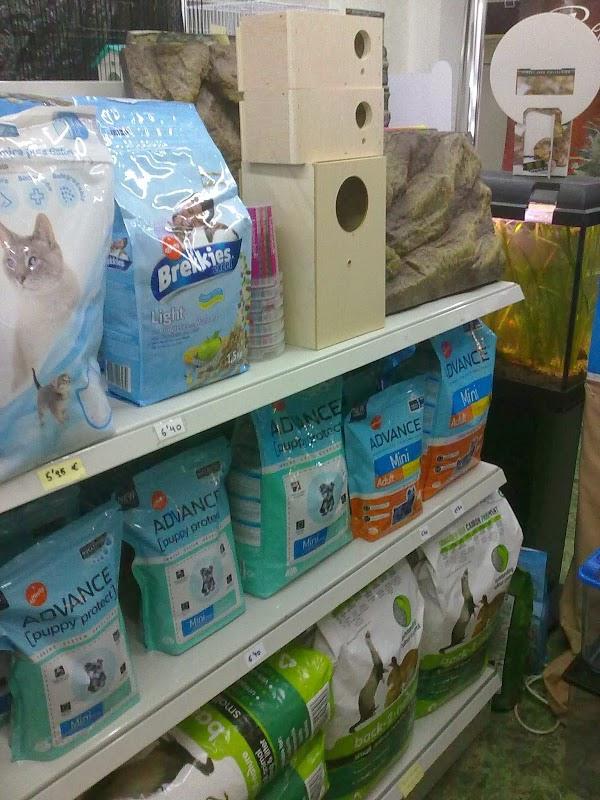 Imagen 12 Campus Inglés foto