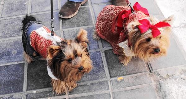 Imagen 13 Campus Inglés foto