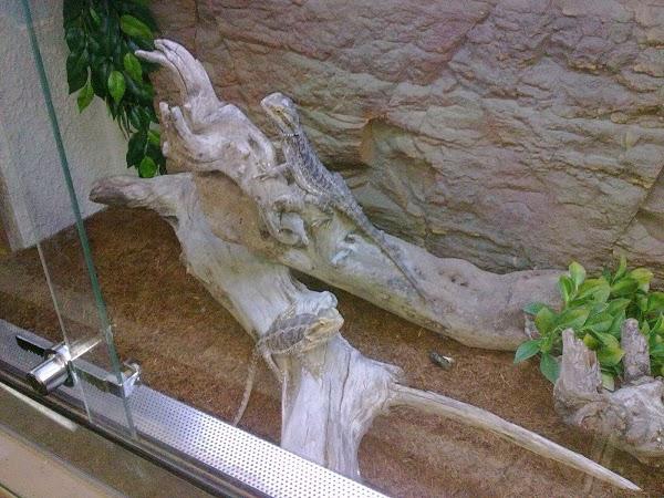 Imagen 14 Campus Inglés foto