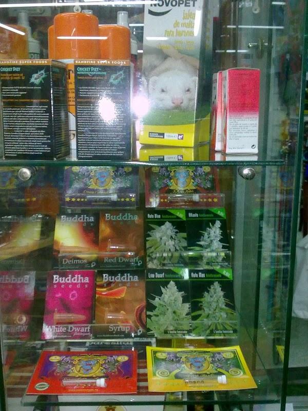 Imagen 15 Campus Inglés foto